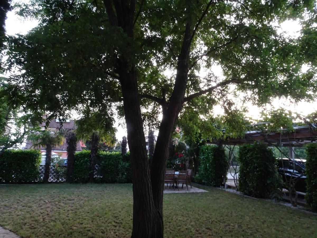 Zvezdica*** With Garden Apartment