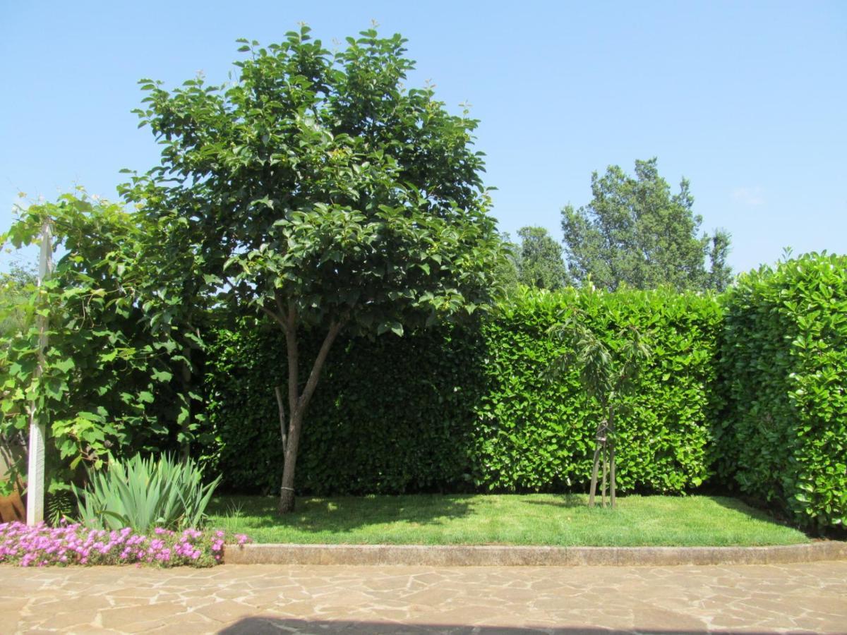 Zvezdica*** With Garden *