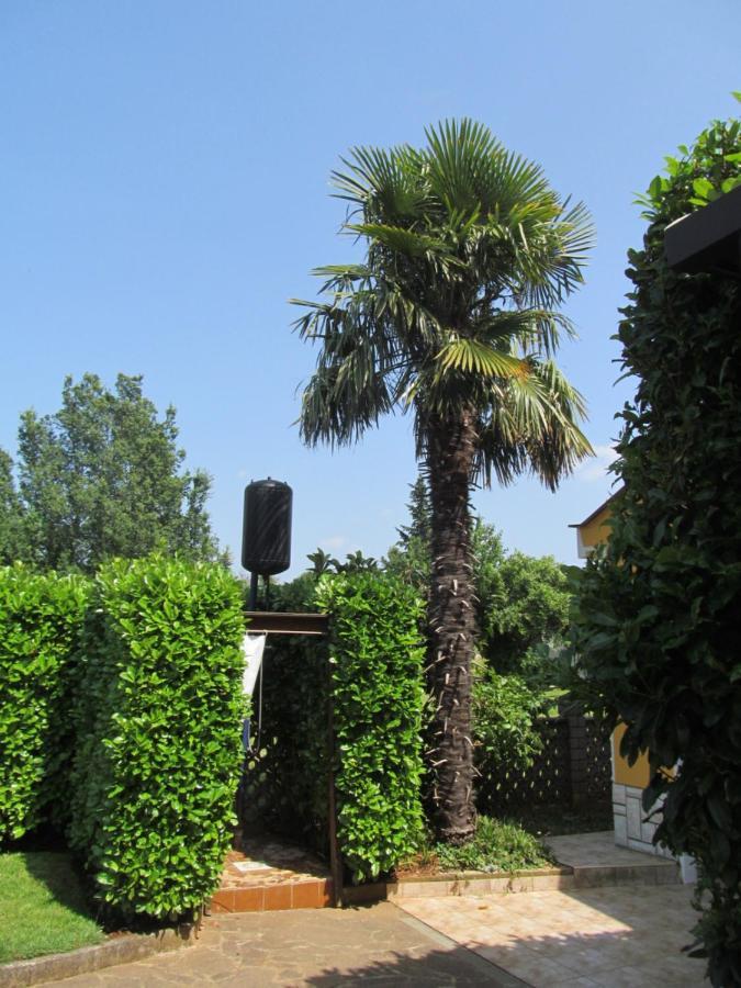 Zvezdica*** With Garden Apartment Zambratija (Istria)